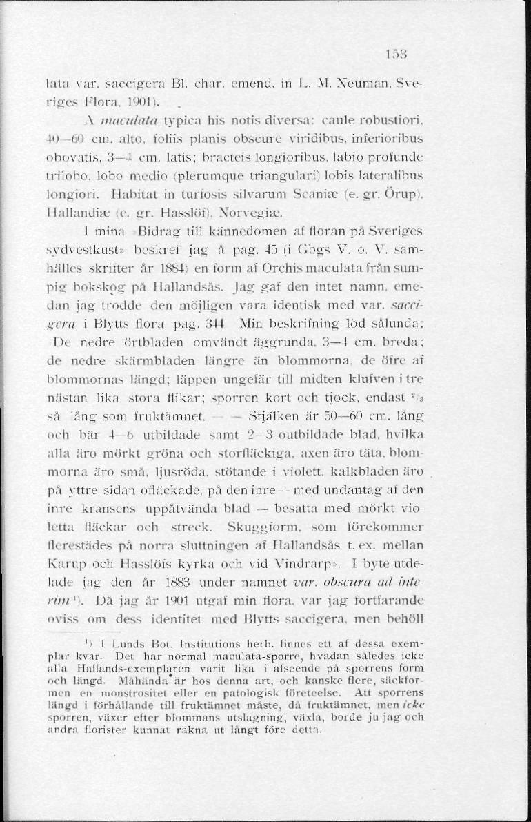 153 lata var. saecigera Bl. char. emend. in L. M, Neuman, Sveriges Plora, 1901).. A maculata typica bis notis diversa: caule robustiori, K) 60 cm.