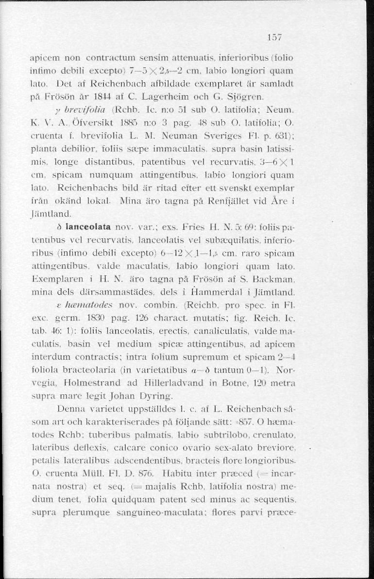 157 apicem non contractum sensim attenuatis, inferioribus (folio inlimo debili excepto) 7 5X2,5 2 ctn, labio longiori quam lato.