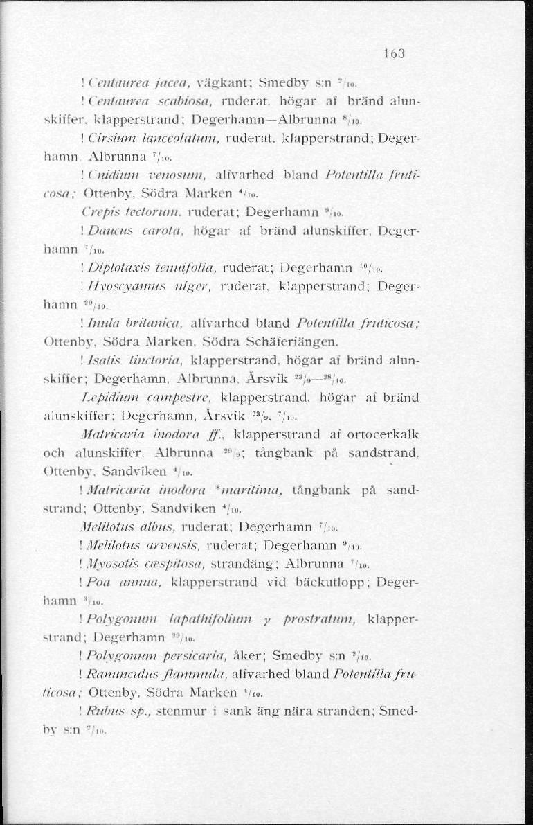163! Centaurea jacea, vägkant; Smedby s:n '-' w.! Centaurea scabiosa, raderat, bogar af brand alanskiffer, klapperstrand; Degerhamn Albrunna /»!