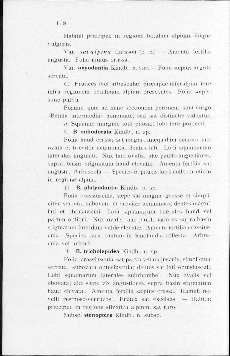 118 Habitat pravipue in regione betulina alpium. ihique vulgaris. Var. subalpina Larsson (e. p.) Amenta fertilia angusta. Folia minus crassa. Var. oxyodontia Kindb.. n. var.