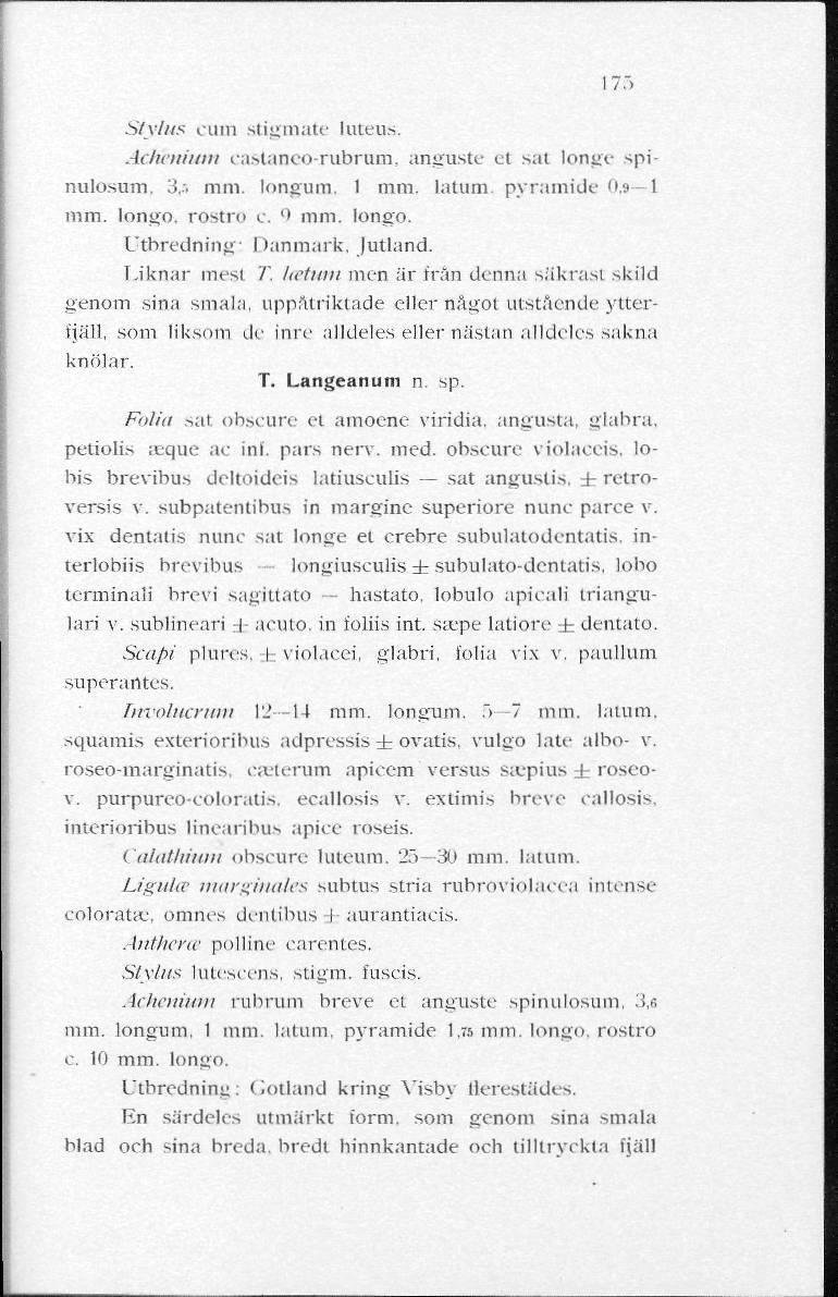 175 Stylus euin stigmatt luteus. AcHenium castaneo-rubrum, anguste et sat longe spinulosum, 3,5 mm. longum. I mm. latum. pyramide 0,9 L mm. longo. rostro c. 9 mm. longo. Utbredning: Danmark, Jutland.