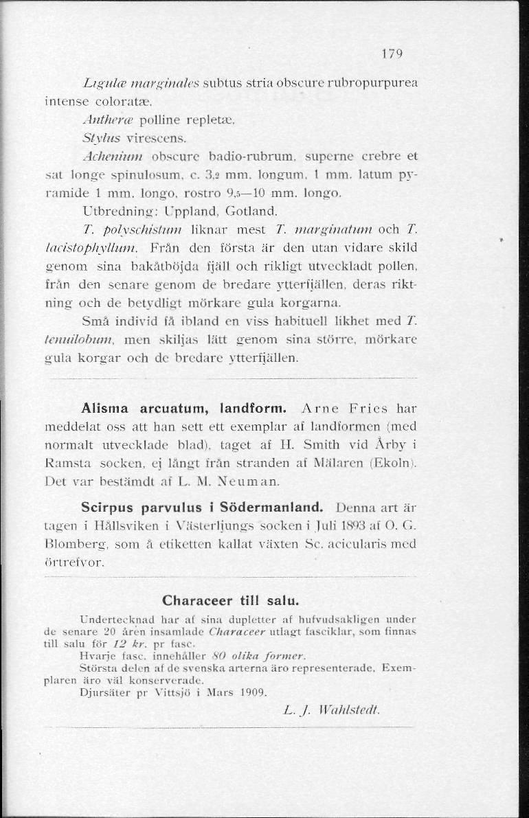 179 Ligiilw marginales subius stria obseure rubropurpurea intensc coloratae. Aiitlirric polline repletse, Stylus virescens. Acheninm obscurc badio-rubrum. superne crebre et sat longe spinulosum. c. 'i.