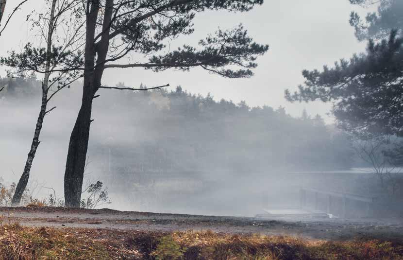 HERTZ HÅLLBARHETSARBETE 1.1. Hållbarhetsåret 2016 Detta är Hertz åttonde hållbarhetsredovisning.