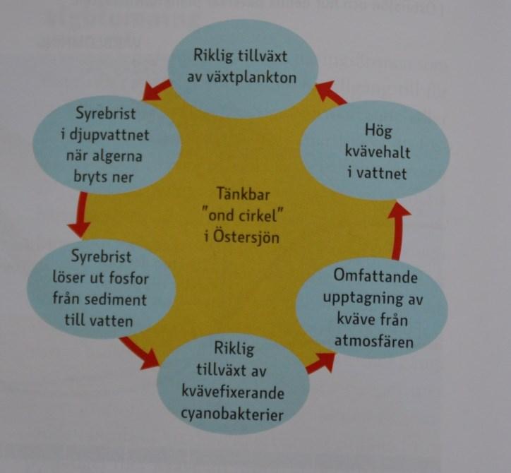 skrivning kan knappast vara säker på att fullt ut förstå hur lådan som användes vid försöket verkligen var konstruerad. Olika modaliteter har alltså olika potential för meningsskapande.