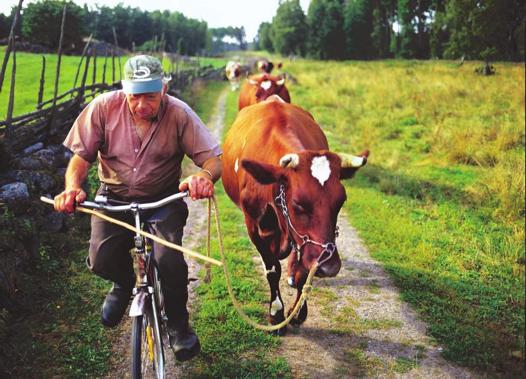 Peter Gerdehag Fotograf: Peter Gerdehag Peter Gerdehag är professionell naturfotograf och dokumentärfilmare med inriktning på svensk natur och bondekultur.