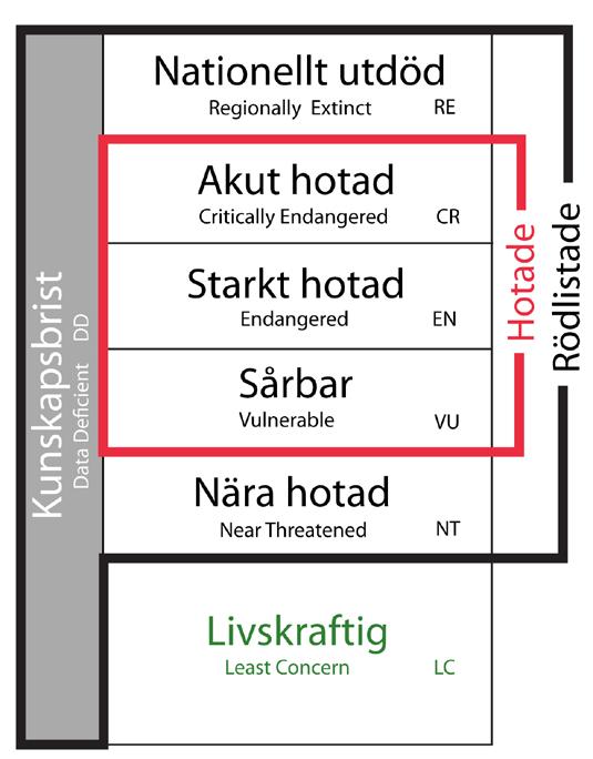 Figur 2-6. Rödlistekategorier /Gärdenfors 2010/. 2.2.5 Arter skyddade enligt artskyddsförordningen Artskyddsförordningen (SFS 2007:845) innehåller de flesta vilda arterna i Sverige med någon form av skydd.