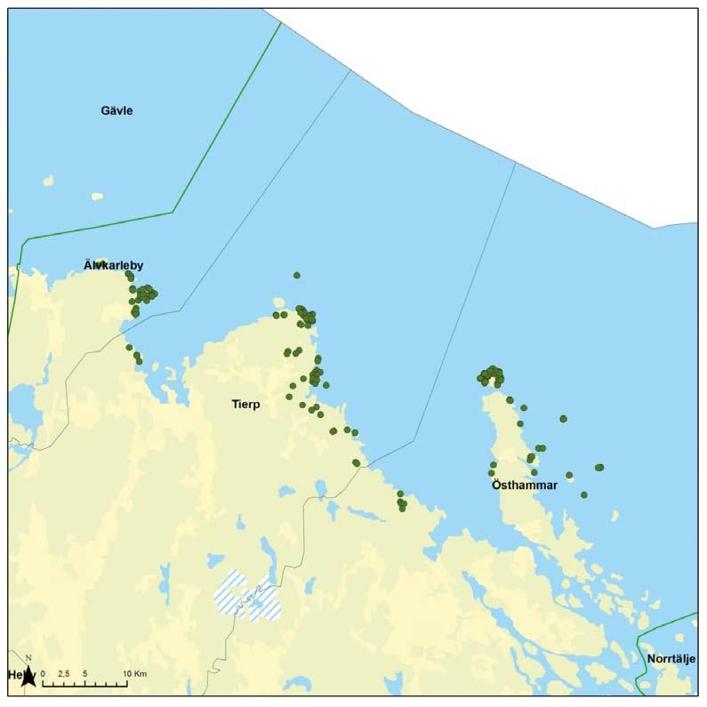 Figur 6-5. Översiktskarta över förekomsterna av gölgroda längs Upplandskusten.