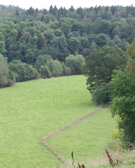 FÖRUTSÄTTNINGAR Odlingslandskap Utmed Storåns breder ett naturskönt odlingslandskap ut sig. På ett traditionellt sätt är bebyggelsen samlad i smala stråk utmed dalsidorna.