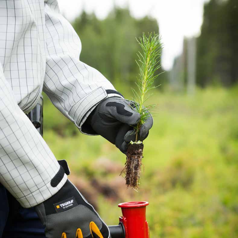 Prislista 2017 Våra plantor är mycket prisvärda och vi använder alltid bästa tänkbara frö.