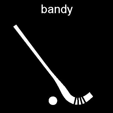 KOMMANDE AKTIVITETER Elitserien Bandy VSK Sandvikens AIK Nu åker vi åter till Rocklunda i Västerås och ser en toppmatch i Elitserien i bandy.