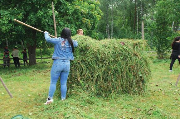 Hembygdsparken Hembygdsparken ägs av Gislaveds hembygdsförening som skapades under hösten 1945. Innan hembygdsföreningen blev ägare över parken så ägdes den av Svenska Gummifabriks AB.