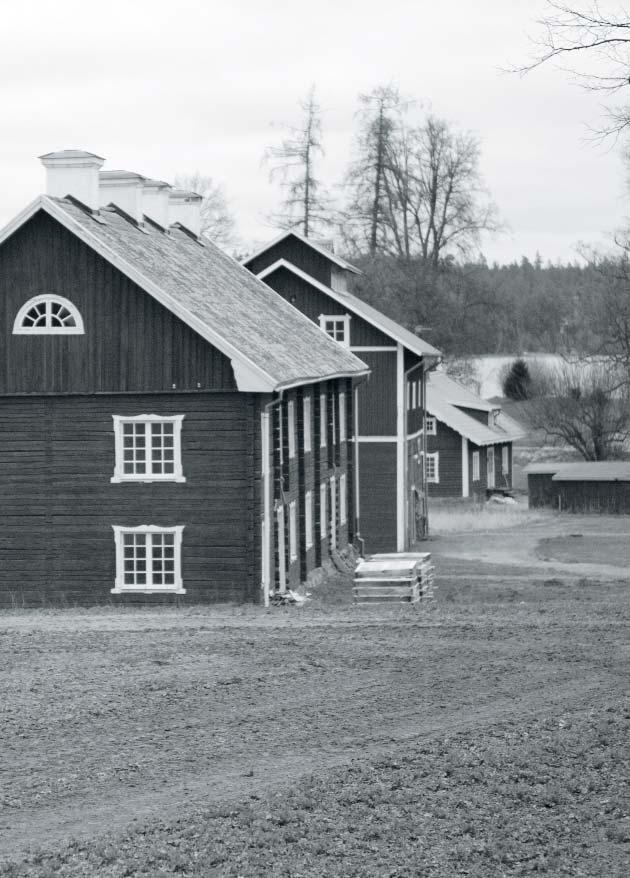 Trygghetslarm och djuröga När kycklingarna anländer till gården är det Hans- Christer och hans medarbetares ansvar att ge exakt rätt foder, temperatur, ljus och ventilation så att kycklingen hela