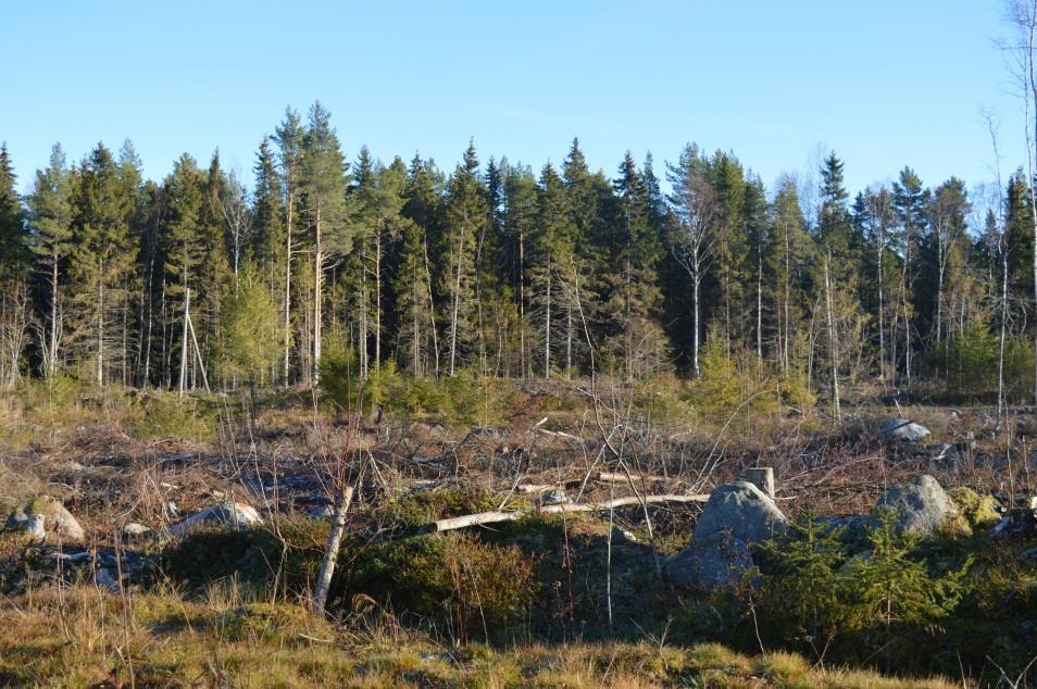 Med landskapsplanen överför man utvecklingsprinciper och strategier, som uppgjorts på nationell och regional nivå, till reserveringar av markområden som styr områdesanvändningen i den önskade