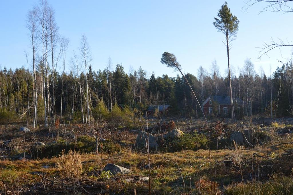 55, TEKN 15.3.2017 17:00 / Pykälän liite: 1.2.2017 PLANBESKRIVNING_SCHRIEKENBERG Kommun Kristinestad stad Dokument Planbeskrivning Datum 1.