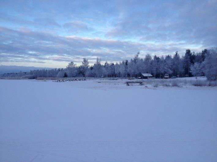 På Nabbskatavägen är stor del av husen byggda på 1920-1930-talet.