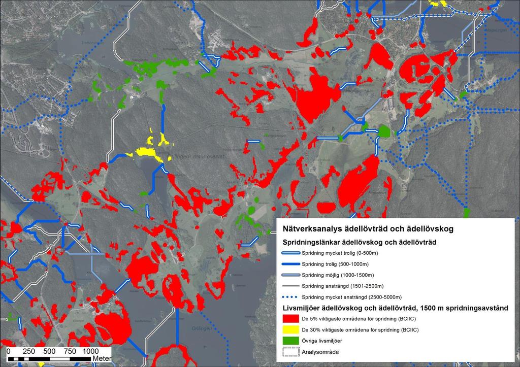 Nätverksanalys ädellövmiljöer, fokusart brun