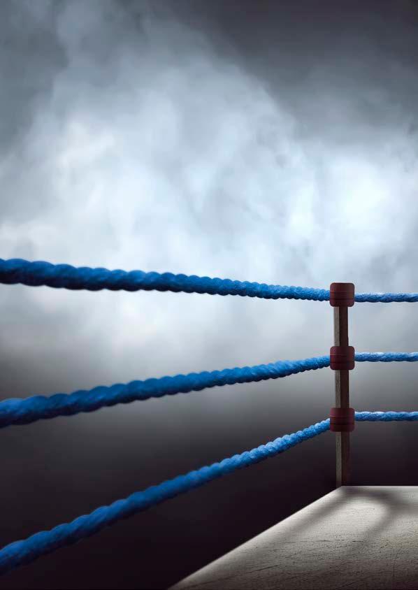 44 SVENSKA BOXNINGSFÖRBUNDET