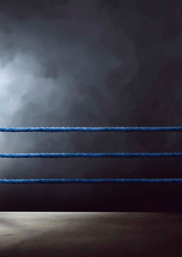 SVENSKA BOXNINGSFÖRBUNDET