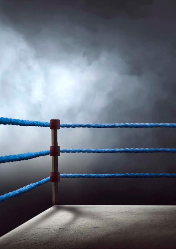 46 SVENSKA BOXNINGSFÖRBUNDET