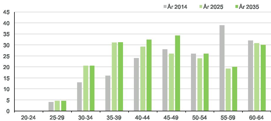 Majoriteten, 85 procent, av de förvärvsarbetande arbetade inom hälso- och sjukvård, offentlig produktion och det klart vanligaste yrket var barnmorskor, få av de förvärvsarbetande arbetade inom ett