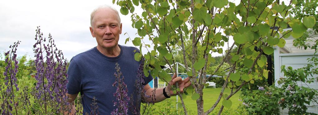Lennart lär ut om trädgårdsplanering och nya rön I mer än 50 år har Lennart Korén i Herrskog haft trädgårdsplanering och utemiljö som sitt arbete.