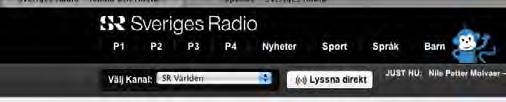 Här kan du lyssna cirka 270 000 timmar om året i 45 kanaler med 400 program. I Webbradion kan du välja vad du vill lyssna på för kanal, program och på vilket språk.