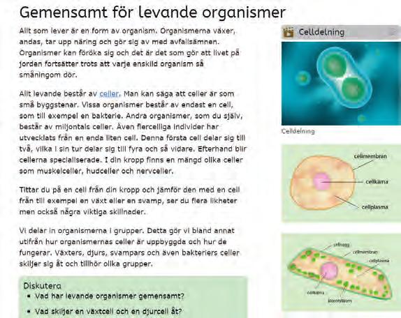 Interaktiva böcker. Knapp för knapp.