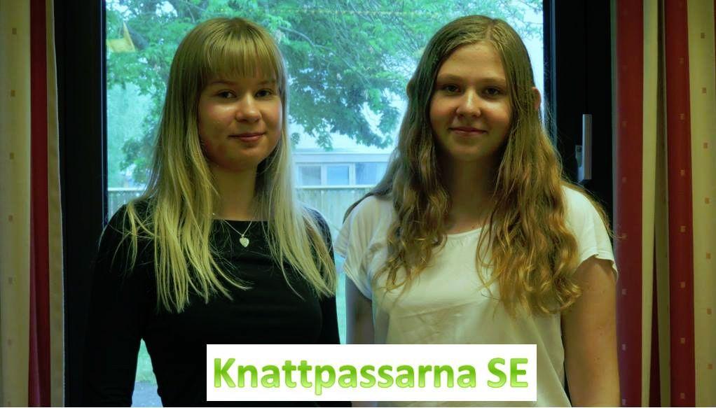 En kurs som Folkhälsan på Åland anordnar där Ålands Näringsliv ansvarar för att ungdomar får lära sig sina rättigheter