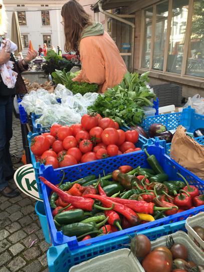 OLSKROKEN I höst planerar företagarföreningen en shoppingkväll den 26 oktober kl. 20. Butikerna bjuder på erbjudanden och spännande tävlingar och aktiviteter i butikerna.