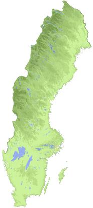 Föreningen för datorhjälp i släktforskningen Bildades 1980 i Linköping Har idag dryga 26 000 medlemmar Indelad i 8 regionföreningar Medlemsstöd via 40-tal faddrar Min roll i