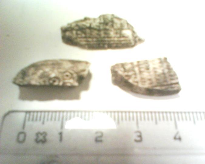 Foto 4. Benbitar ifrån kam med olika ornamentik BNR 10: Grav 12 Bennummer 10 innefattar de brända skelettelement som återfanns i Grav 12.
