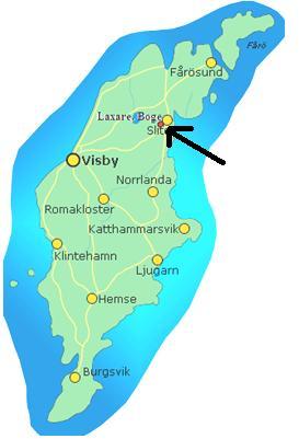 yngre järnåldern kommer beröras beror på att materialet och tidigare forskning skulle bli alldeles för stort om hon även valde andra kronologiska perioder.