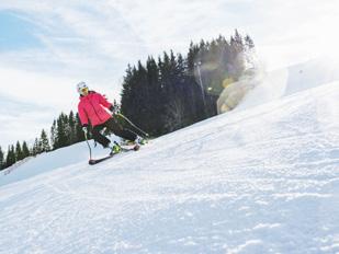 veckor bjuder vi på 50% rabatt på skipass och skidhyra. Läs mer på www.isaberg.com Campingplats Pris per dygn exkl. el (2017.11.01 2018.