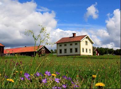 Kontaktperson: Maud Winnberg Tele: 0693-130 63, 073-073 39 55 Stuga Gimdalen Storlek: 4 Sovrum.