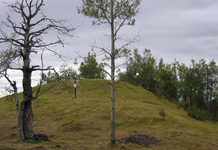 STRUVES MERIDIANBÅGE 15 Världsarvspunkten Jupukka ingående i Struves meridianbåge är belägen i Pajala kommun. Foto: Dan Norin/Lantmäteriet.