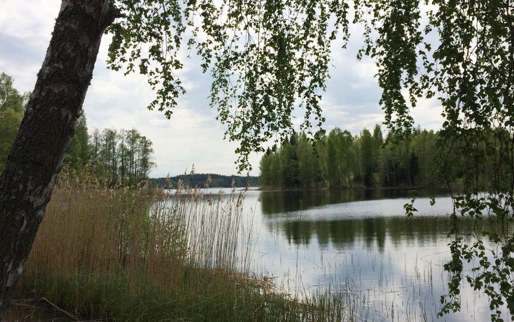 Mariedammsborna når idag de norra delarna av vandringsleden och Runsala naturreservat via Skirsjövägen och järnvägsövergången strax norr om den gamla lastkajen.