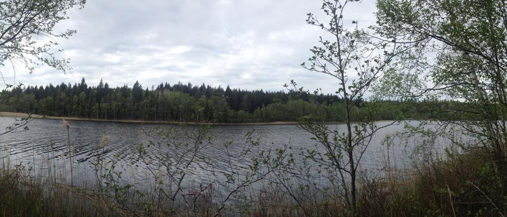 Skeppsjön som dominerar karaktärsområdet är en stor näringsfattig sjö med förekomst av mindre vanlig undervattensvegetation vilket ger den ett visst naturvärde.