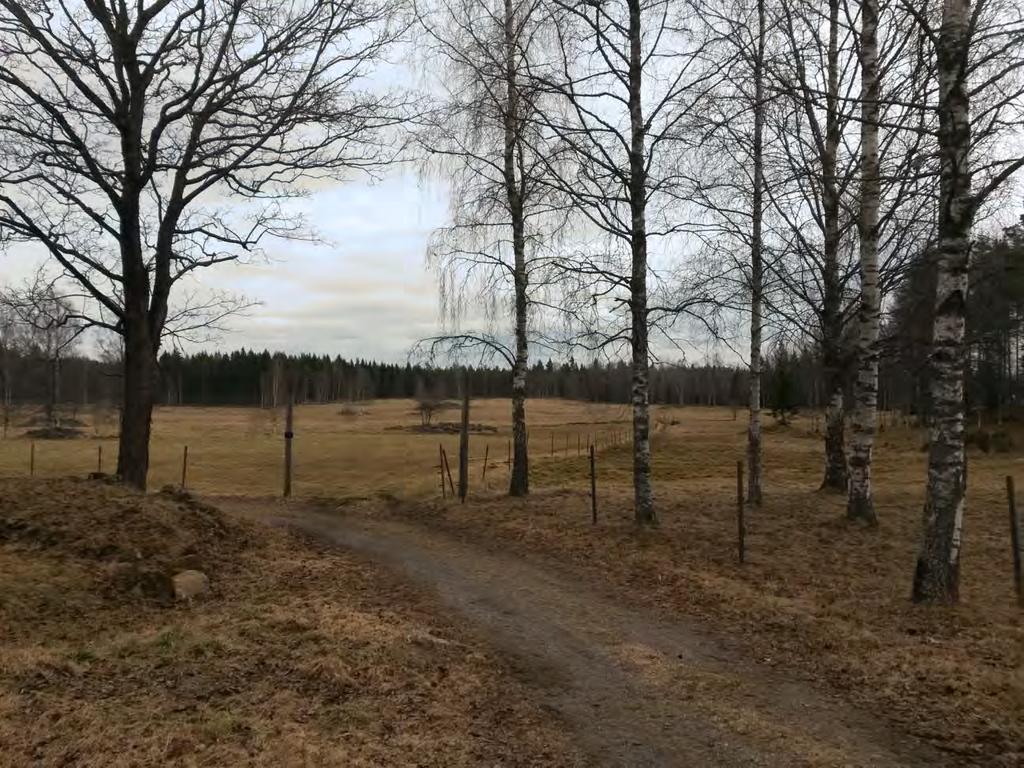 2A Puttbo/Dammen Markerna ligger i en svag bergssluttning. Vägen följer landskapets topografi och delar odlingsrummet i två delar.