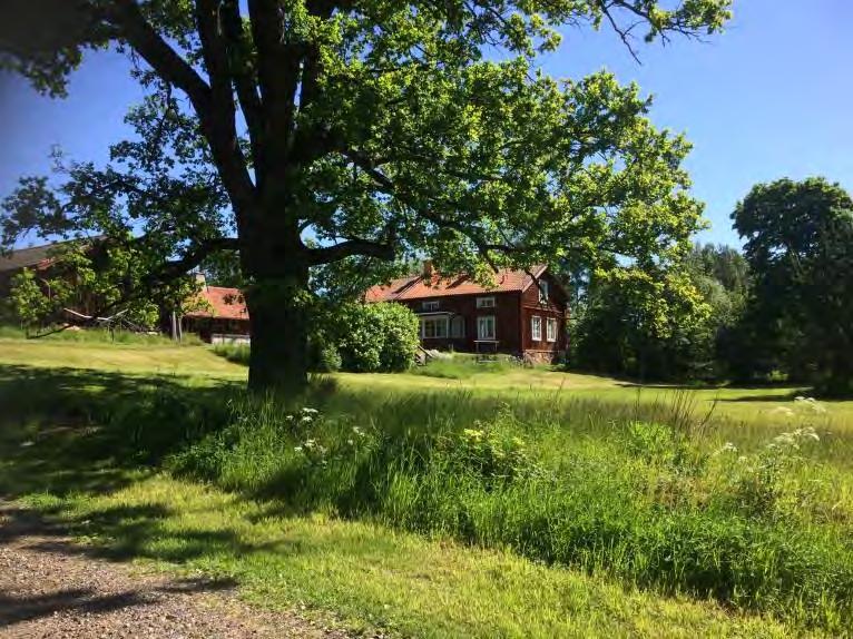 karaktär, ibland dock kvadratiska eller rektangulära. En del ytor hålls än idag öppna, utan att vara påverkade av mer sentida, storskaligt jordbruk. Markerna var stenröjda och diken förekommer.