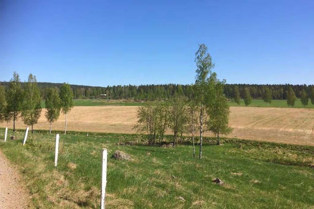 Storskaligt odlingslandskap vid Främsbacka. Foto E. Röing 2017. Viktiga kulturhistoriska värden - Den storskaliga odlingsbygdens öppna marker fria från bebyggelse och dess långa siktlinjer.