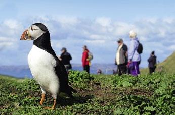 Canna & Rum Vi tillbringar dagen i ögruppen Small Islands och börjar med att utforska Canna, vars ca 10 invånare bedriver småskaligt jordbruk och kouppfödning.