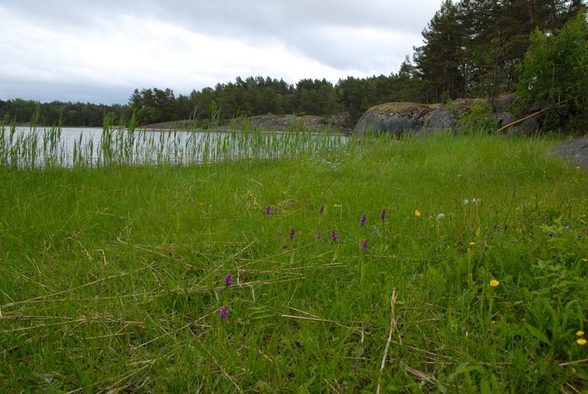 Biotopförändring Ett sätt att analysera återinventeringen är att se hur lokalen bedömdes att ha förändrats för varje artförekomst i Ulf Söderbergs inventering (Se karta 1).