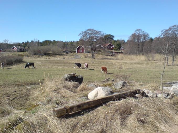 Värdet av en inventering efter ett halvt sekel Floran på en plats danas av dels ståndortens förutsättningar och dels markanvändningshistoriken.