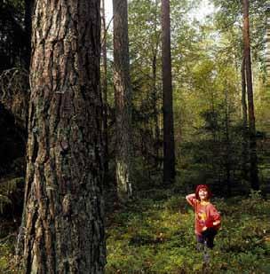 Landskapskaraktärernas riktlinjer Ett generellt mål för alla landskapskaraktärer är att ny eller kompletterande bebyggelse inte ska störa intrycket av den övergripande karaktären.