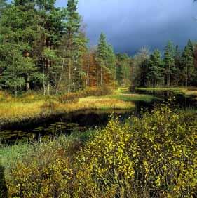 JJ Genom strategier för natur, friluftsliv, och turism har begreppet