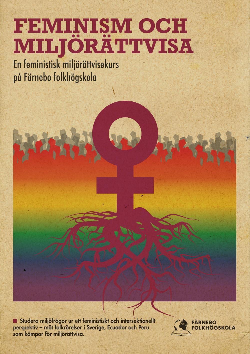 Feminism och Miljörättvisa I Anderna