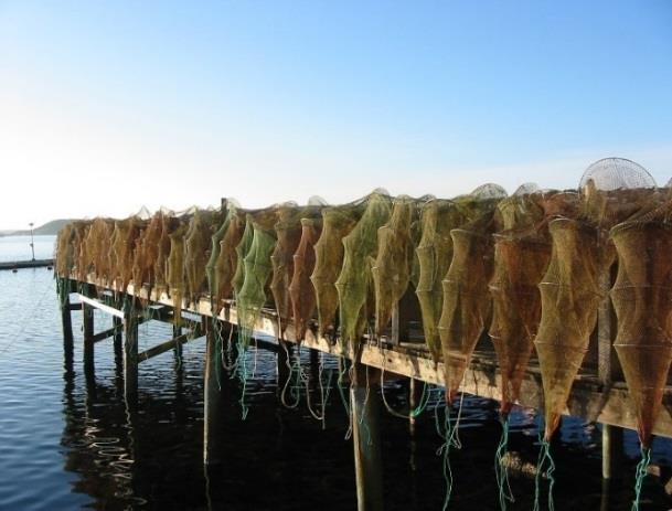 Biogasanläggning för fiskberedningsindustrins avfall Rena Hav Med utgångspunkt i Kungshamn har Rena Hav sökt och beviljats stöd från Klimatklivet (33 70 000 kr), för nybyggnation av en