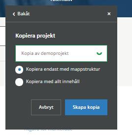 Namnge det nya projektet och välj vad som ska kopieras vidare.