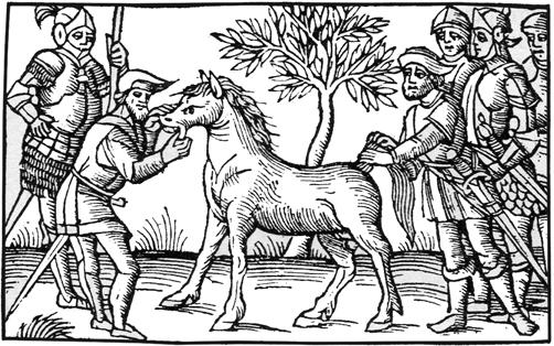 använde man hästen som dragdjur, köttdjur, maktsymboler, offerdjur och stridshästar.