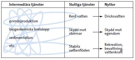 Ett komplext system av tjänster